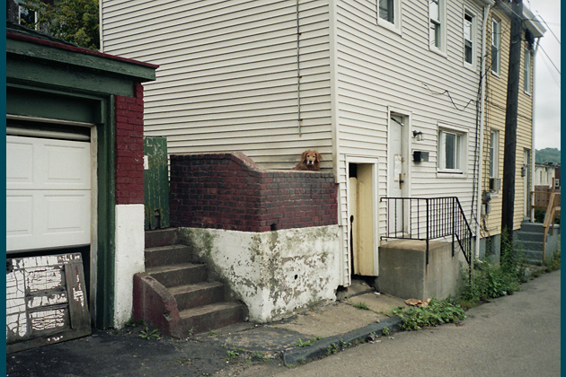 Spring Way, 2005